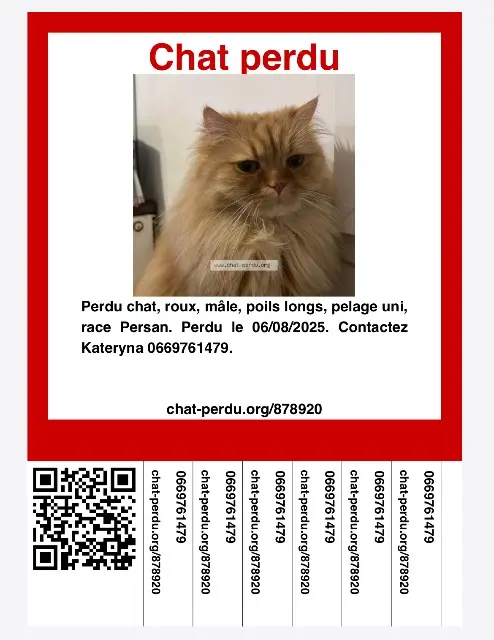 chat lost   94140 Альфорвилль Rizhik