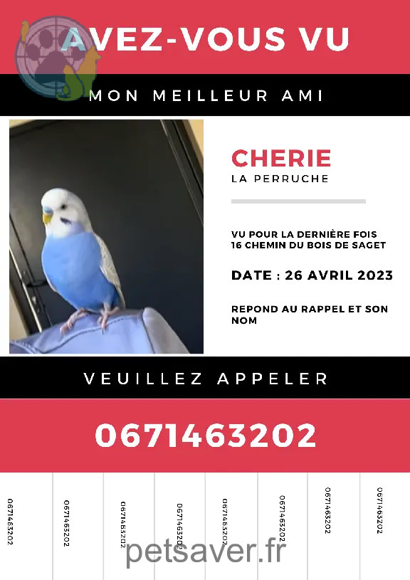 Perdu 31 Haute-Garonne - Chérie Perdu 31 Haute-Garonne - Chérie