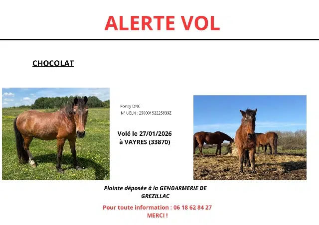 animal lost   33870 Vayres Chocolat