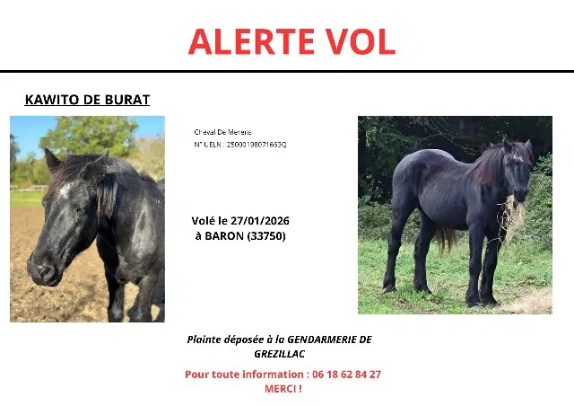 animal lost   33750 Baron Kawito