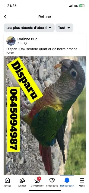 animal lost   40100 Dax Petite