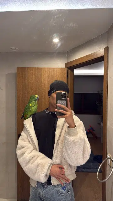 animal lost   95150 Taverny Monk