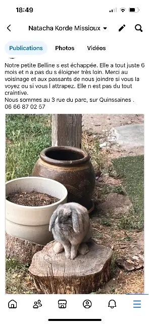 animal lost   03380 Quinssaines Belline