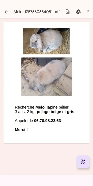 animal lost    Toulouse Melo
