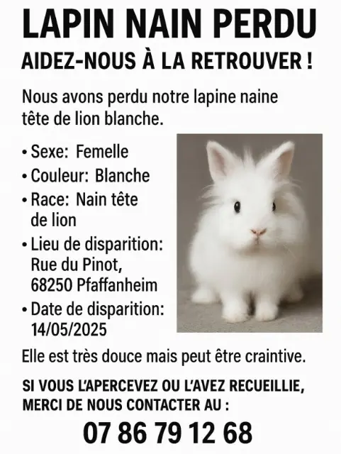 animal lost   68250 Pfaffenheim Blue