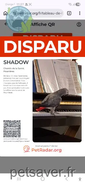 animal reunited   83910 Pourrières Shadow