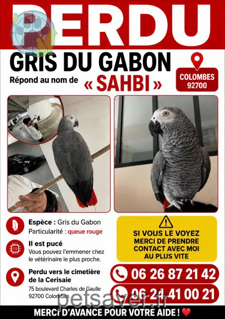 animal reunited 92700 Colombes Sahbi