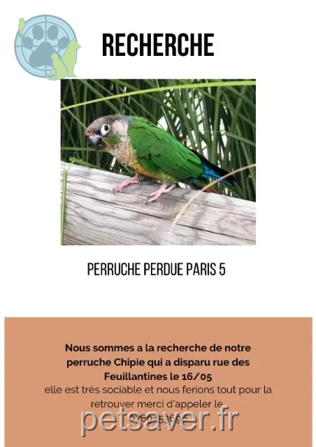 animal reunited    Paris Chipiz