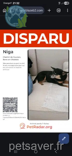 cadela lost   74890 Bons-en-Chablais Niga
