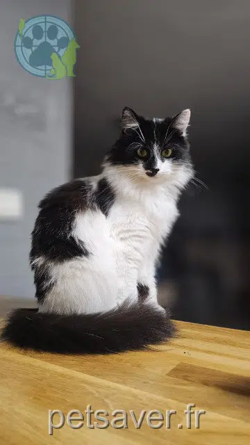 Athéna