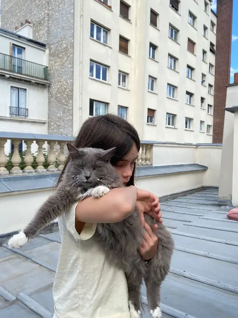 chatte lost    Paris Chatna