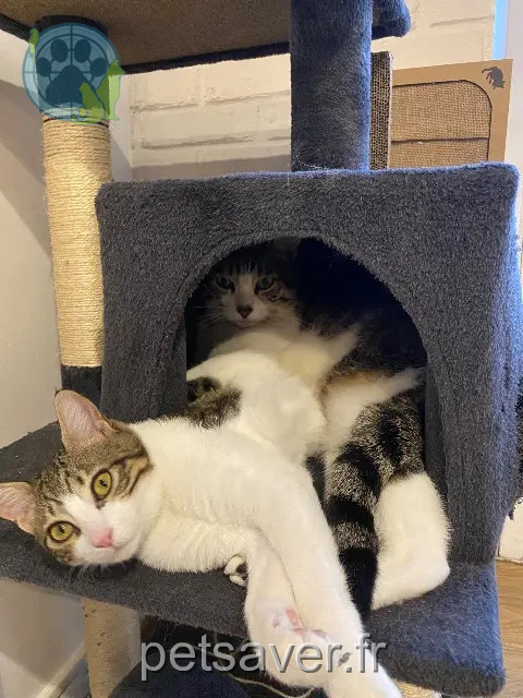 chat reunited Nice Salem
