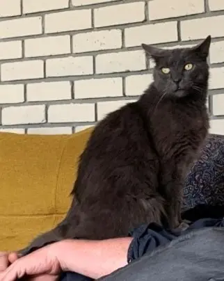 chat reunited   06650 Opio Winston