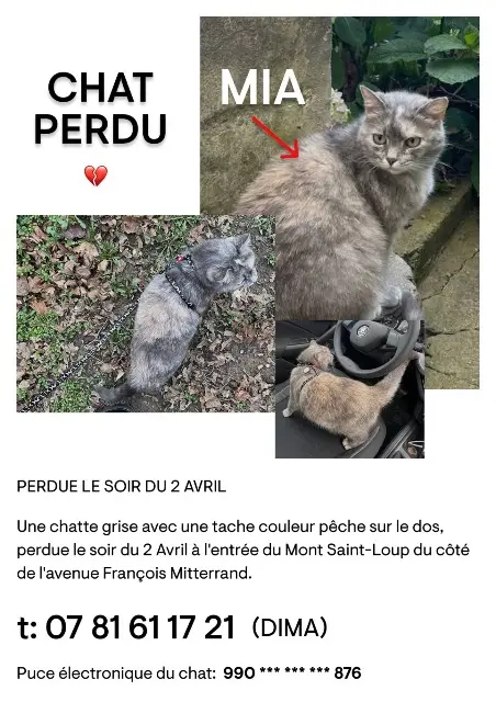 chatte reunited   34300 Agde Mia