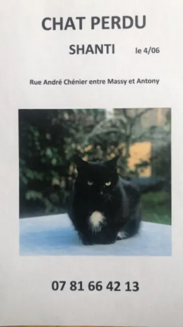 chat reunited   91300 Massy Shanti