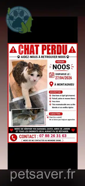 kater lost   01470 Montagnieu Noos