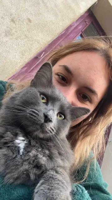 chat lost   03000 Coulandon Waffle