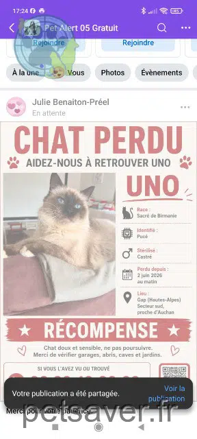 Kater lost   05000 Gap Uno