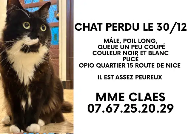 chat lost   06650 Opio Bomdya