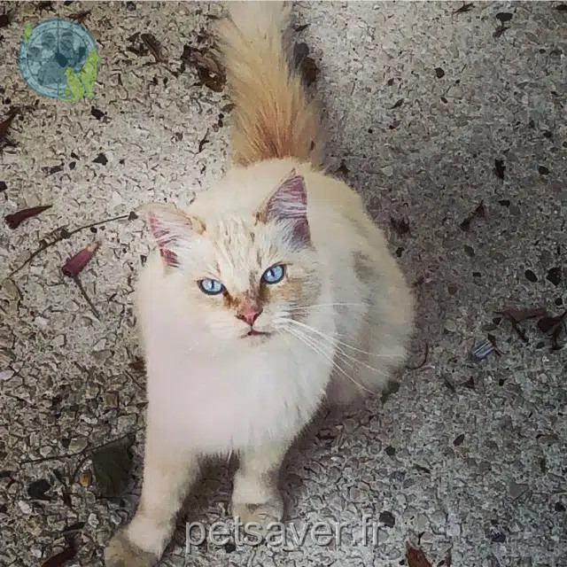 chat lost    Nice Jedi