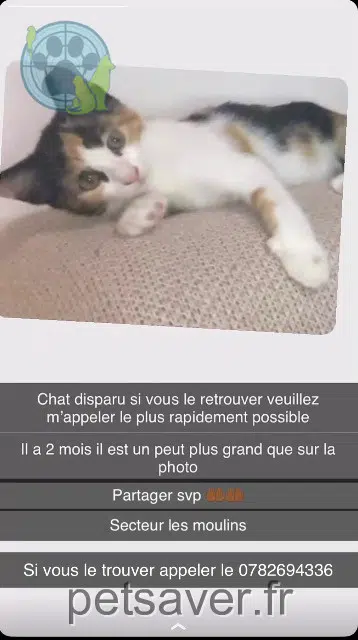 Kater lost Nice Kagami