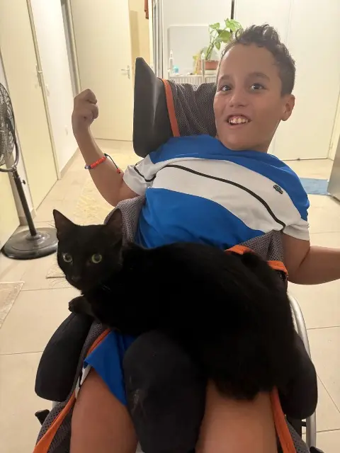 gatto lost    Nice Pinou