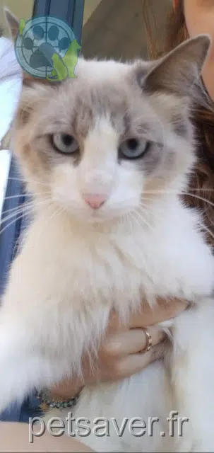 kater lost   07300 Tournon-sur-Rhône Tao