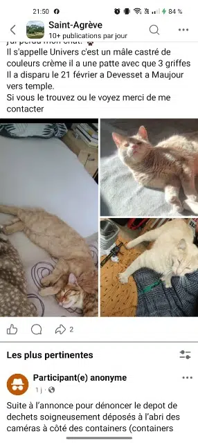 chat lost   07320 Devesset Univers