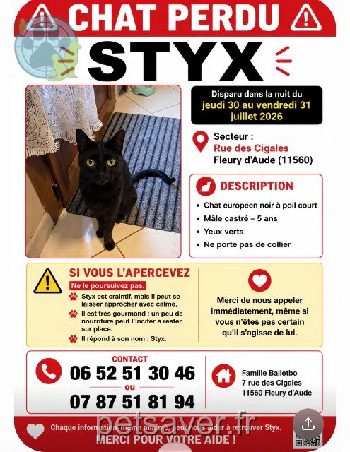 gatto lost 11560 Fleury Styx