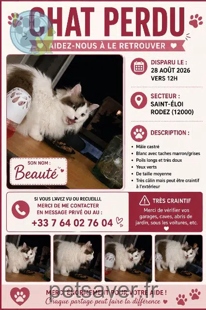 chat lost Onet-le-Château Beauté