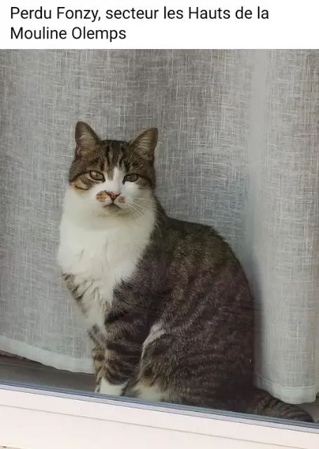 chat lost   12510 Olemps Fonzy