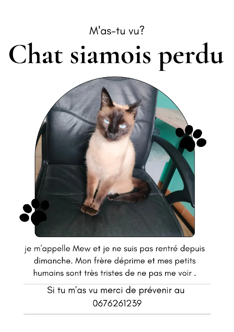 Chat Perdu 13 Bouches-du-Rhône Chat Perdu 13 Bouches-du-Rhône