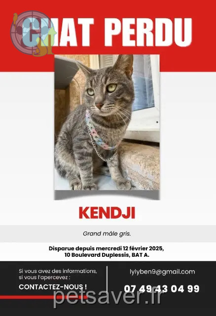 kater vermist Marseille KENDJI kater lost Marseille KENDJI