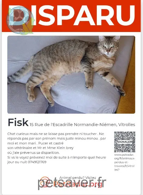 chat lost   13127 Vitrolles Minouminou