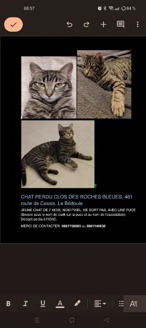 chat lost   13830 Roquefort-la-Bédoule Pixel