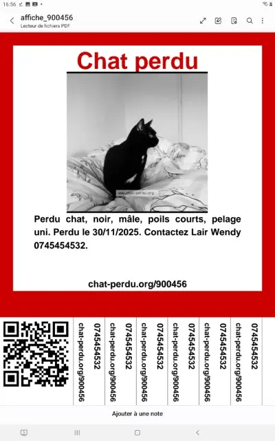 chat lost   14123 Ifs Bagherra