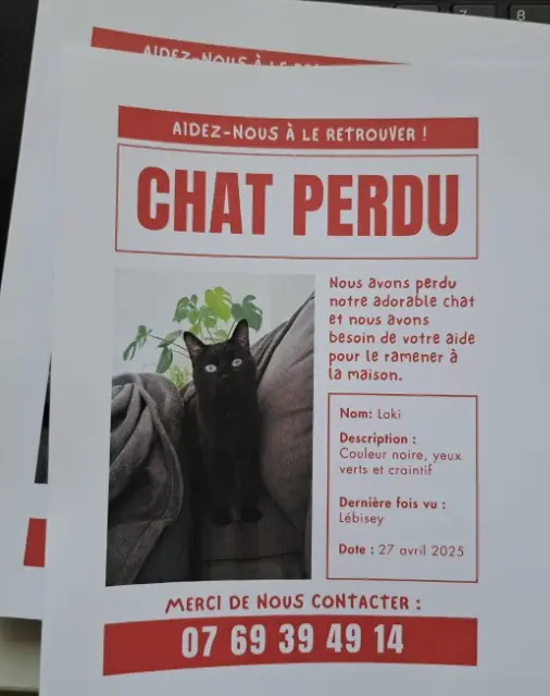 chat lost   14200 Hérouville-Saint-Clair Loki