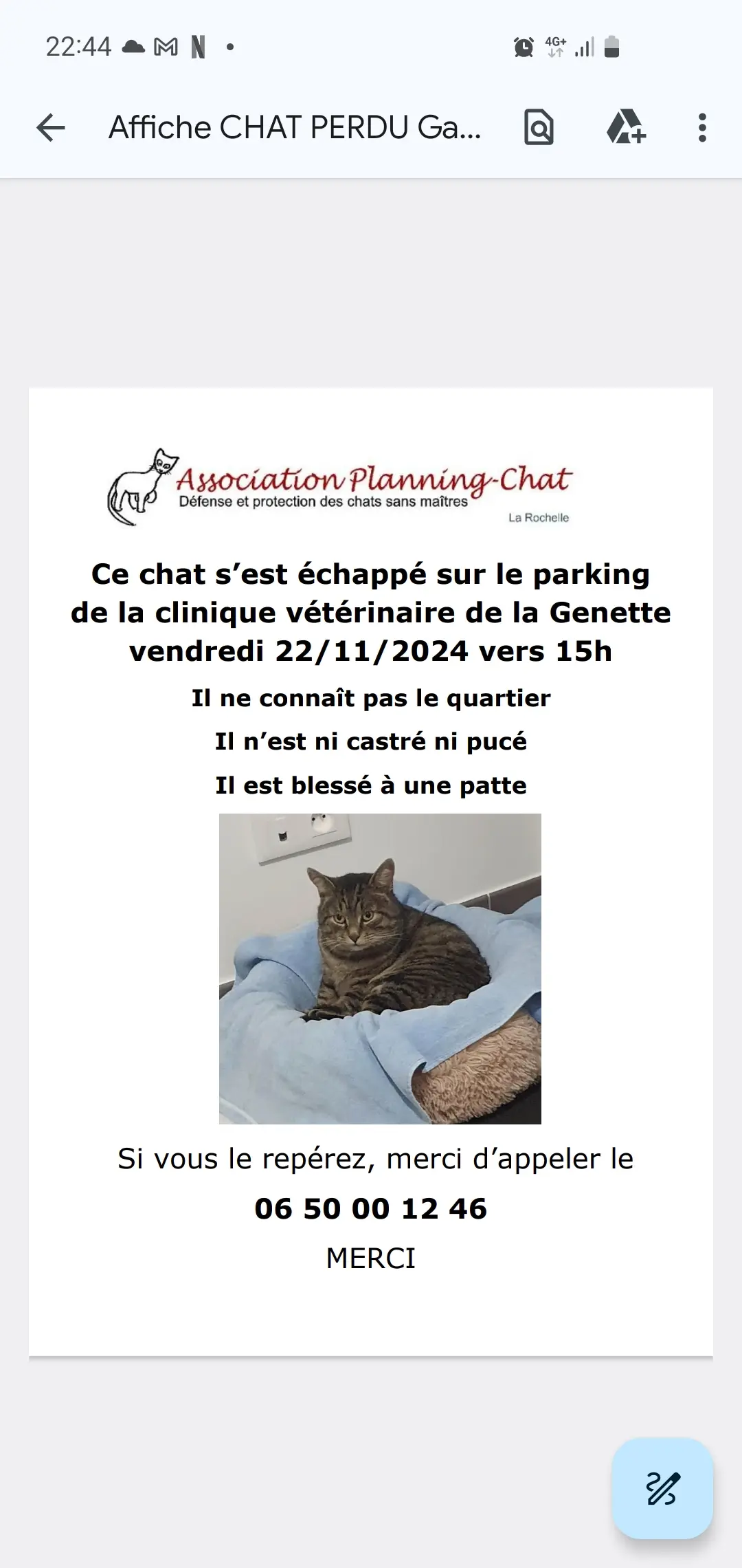 Chat Perdu 17 Charente-Maritime Chat Perdu 17 Charente-Maritime