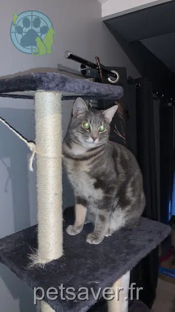 kater lost 21800 Quetigny Sky