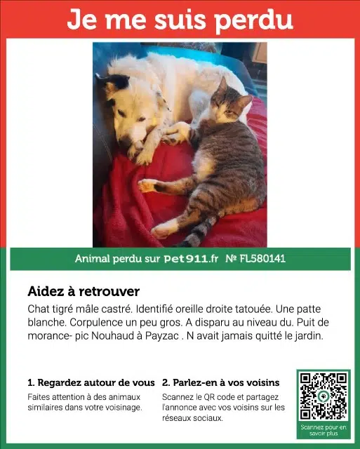 chat lost   24270 Payzac Mogwais