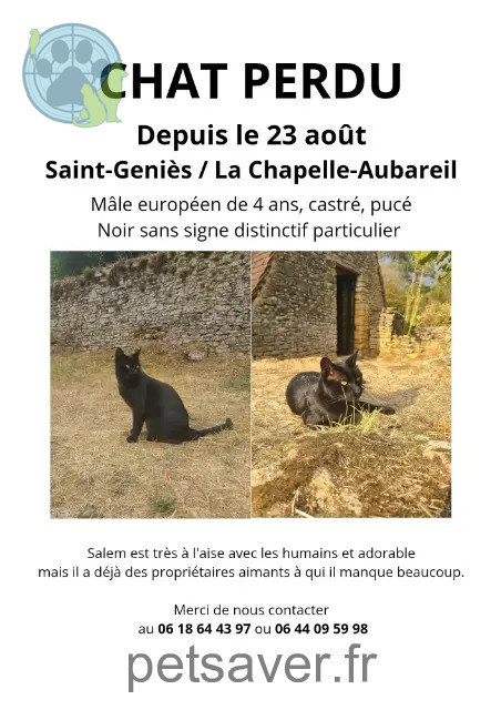 gato perdido 24290 La Chapelle-Aubareil Salem gato lost 24290 La Chapelle-Aubareil Salem
