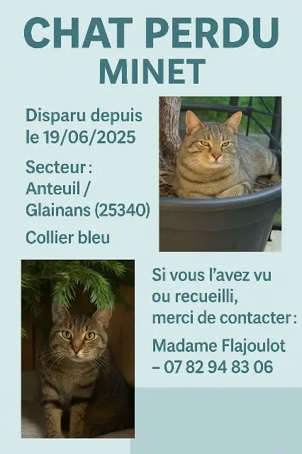 chat lost   25340 Anteuil MINET