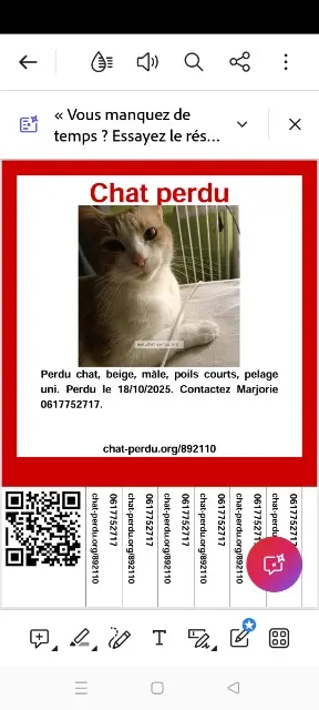 chat lost   26750 Saint-Michel-sur-Savasse Minett