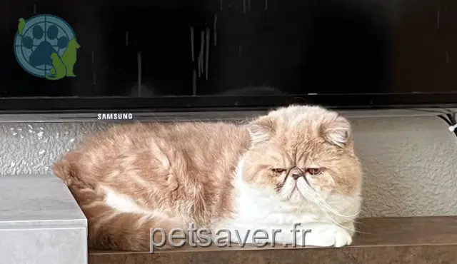 Kater lost 26000 Valence Roberto