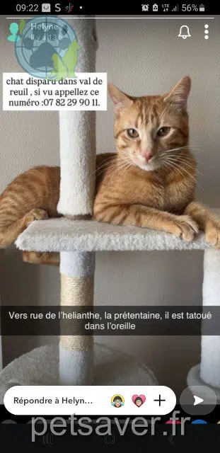 kater lost   27100 Val-de-Reuil Mimoune