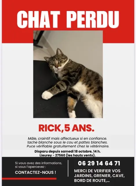 chat lost   27560 Lieurey Rick