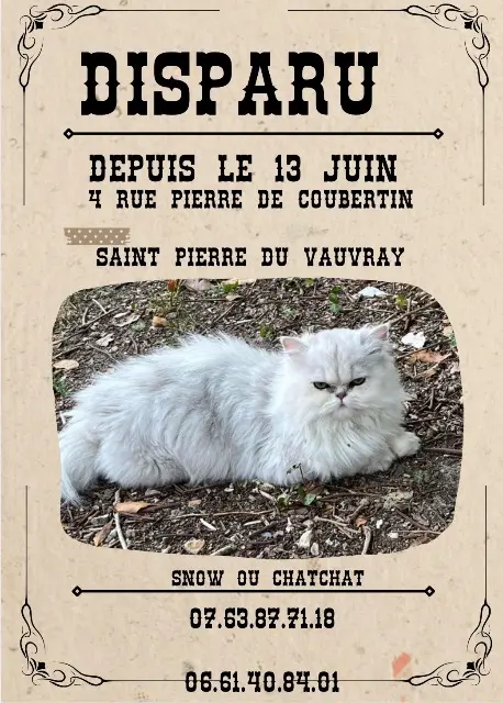 chat lost   27430 Saint-Pierre-du-Vauvray Snow