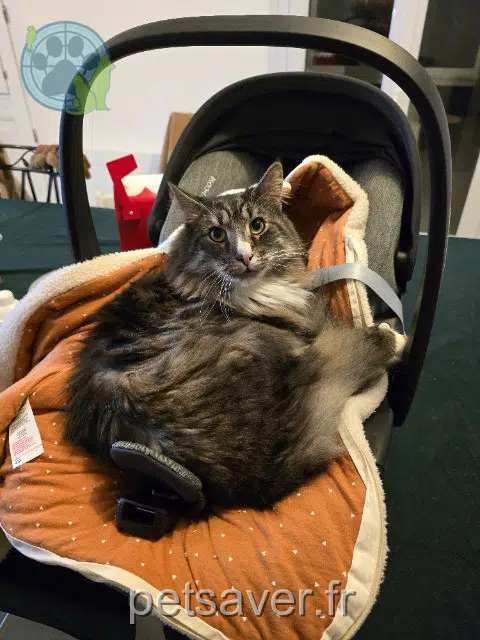 chat lost   27200 Vernon Sultan