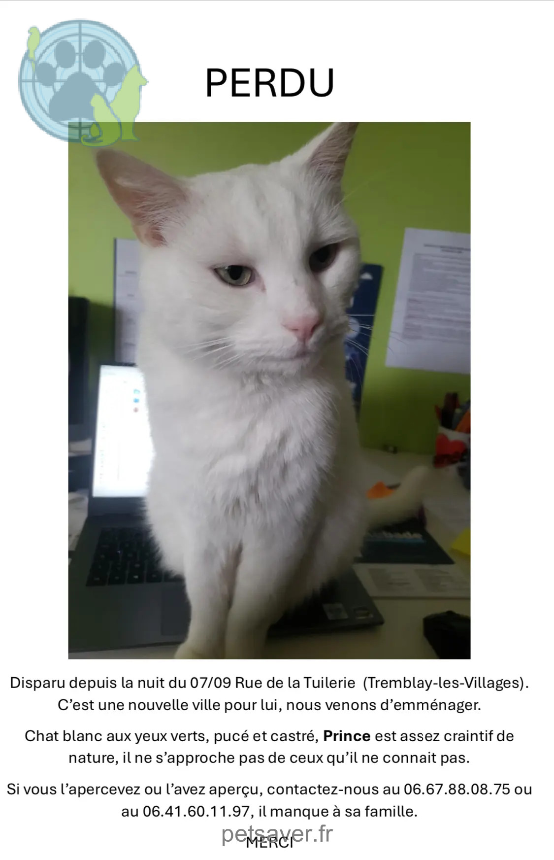 Chat Perdu 28 Eure-et-Loir - Prince Chat Perdu 28 Eure-et-Loir - Prince