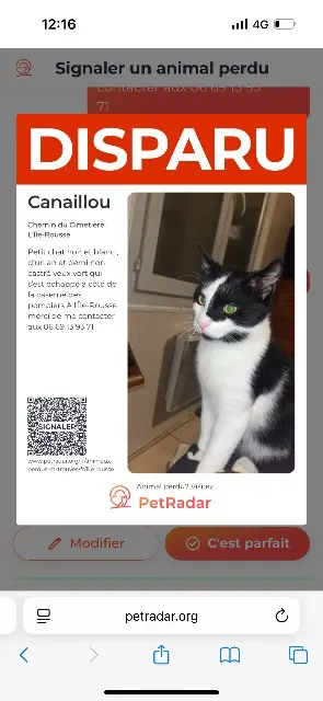 chat lost   20220 L'Île-Rousse Canaillou